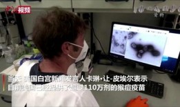 美国猴痘爆料新闻视频,最新爆料视频揭示惊人真相