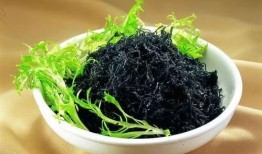 紫菜制作爆料视频教程